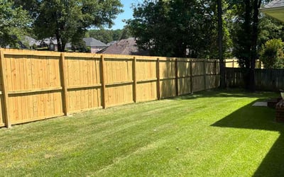 Photo of Serita I.'s yard after getting lawn care in Romulus, MI
