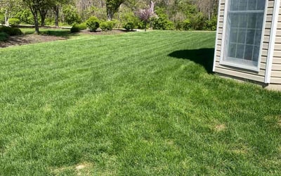 Photo of FRED H.'s yard after getting lawn care in Creve Coeur, MO
