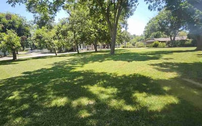 Photo of Rosie S.'s yard after getting lawn care in Taylor, TX