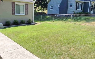 Photo of Ashley J.'s yard after getting lawn care in District Heights, MD