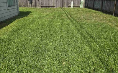 Photo of Agitu W.'s yard after getting lawn care in Fishkill, NY