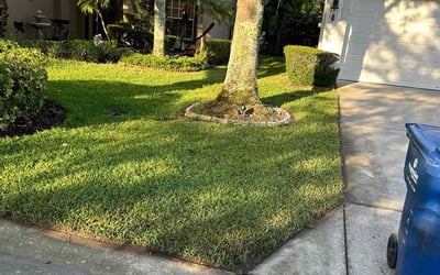Photo of Gregg M.'s yard after getting lawn care in Holiday, FL
