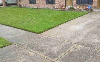 Photo of Ann D.'s yard after getting lawn care in Baton Rouge, LA