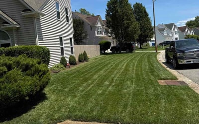 Photo of Alice E.'s yard after getting lawn care in Stratford, CT