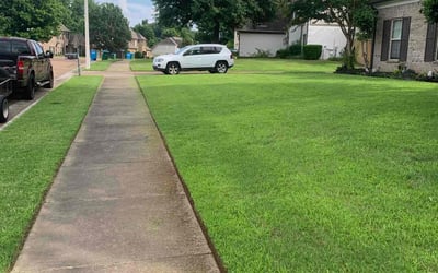 Photo of Vicki G.'s yard after getting lawn care in Millington, TN