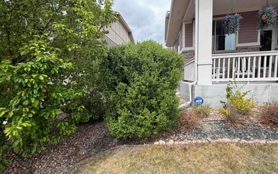 Photo of Nathan K.'s yard after getting lawn care in Brookpark, OH