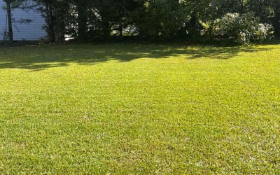 Photo of Gabby L.'s yard after getting lawn care in Princeton, NC
