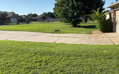 Photo of Ali R.'s yard after getting lawn care in Bothell, WA