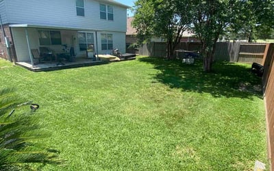 Photo of Reuben L.'s yard after getting lawn care in Rowland Heights, CA