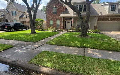 Photo of Angelina F.'s yard after getting lawn care in Hazleton, PA