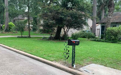 Photo of Michael P.'s yard after getting lawn care in Laredo, TX