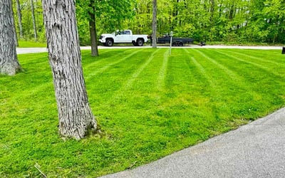 Photo of Fitzgerald B.'s yard after getting lawn care in New Richmond, WI