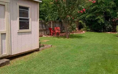 Photo of Lydia A.'s yard after getting lawn care in Chatsworth, GA
