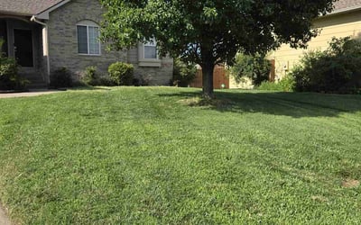 Photo of Samantha C.'s yard after getting lawn care in Augusta, KS