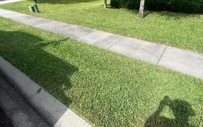 Photo of Tim P.'s yard after getting lawn care in Beavercreek, OH