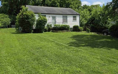 Photo of P U.'s yard after getting lawn care in St. Petersburg, FL