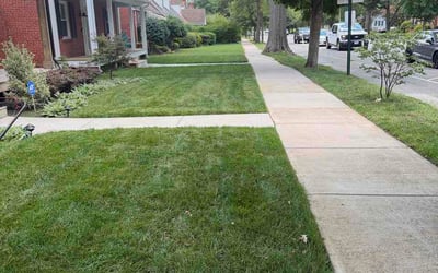 Photo of Jason S.'s yard after getting lawn care in Beckley, WV
