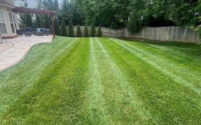 Photo of Lewis P.'s yard after getting lawn care in Corryton, TN