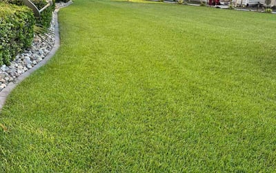 Photo of Helen B.'s yard after getting lawn care in Murrells Inlet, SC