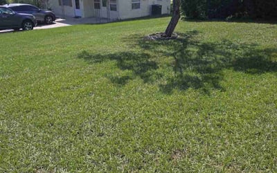 Photo of David A.'s yard after getting lawn care in Crystal River, FL
