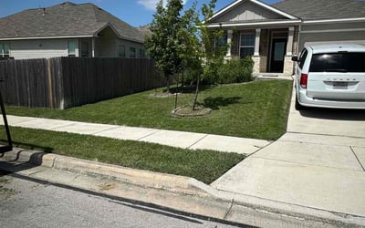 Photo of Shandon S.'s yard after getting lawn care in Dayton, OH