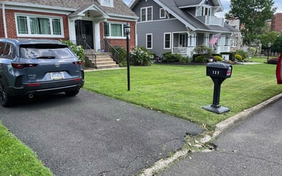 Photo of Richard M.'s yard after getting lawn care in Harpers Ferry, WV