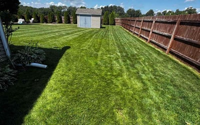 Photo of Mary F.'s yard after getting lawn care in New Kensington, PA