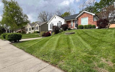 Photo of Sandi P.'s yard after getting lawn care in Gladstone, MO