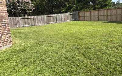 Photo of Phil M.'s yard after getting lawn care in Powell, OH