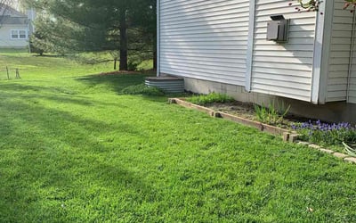 Photo of Deanna D.'s yard after getting lawn care in Lewis Center, OH