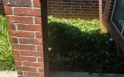 Photo of Patrick P.'s yard after getting lawn care in Maple Heights, OH