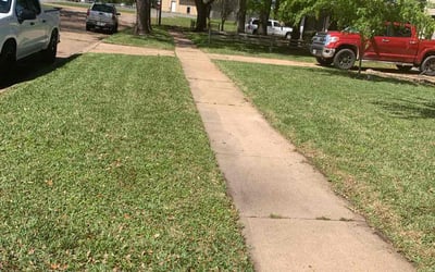 Photo of Tom W.'s yard after getting lawn care in Fayetteville, NY
