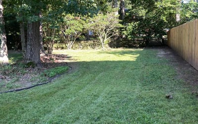 Photo of Anthony V.'s yard after getting lawn care in Danville, VA