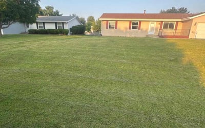 Photo of Rafika V.'s yard after getting lawn care in Newport, KY