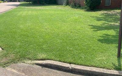 Photo of Jeb B.'s yard after getting lawn care in East Longmeadow, MA