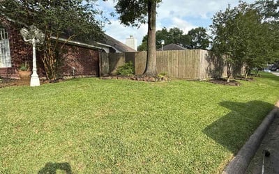 Photo of Shontae B.'s yard after getting lawn care in Belmar, NJ