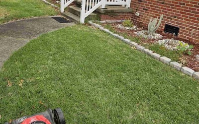 Photo of Frank K.'s yard after getting lawn care in Foxboro, MA