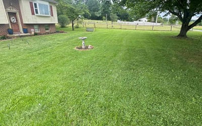 Photo of charmise G.'s yard after getting lawn care in Coatesville, PA