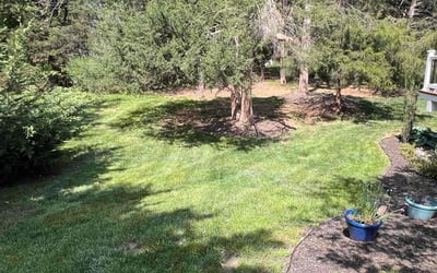 Photo of Kimberly A.'s yard after getting lawn care in Warrenton, VA
