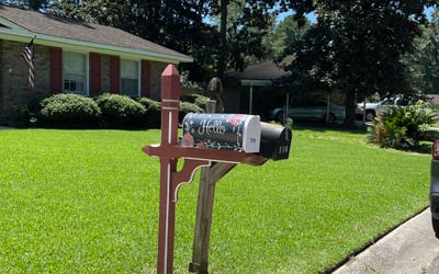 Photo of Moya R.'s yard after getting lawn care in Pittsboro, NC