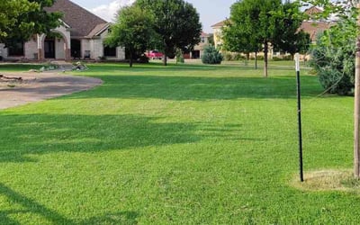 Photo of Michael D.'s yard after getting lawn care in Seguin, TX