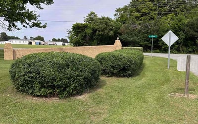 Photo of Victoria (.'s yard after getting lawn care in Taylorsville, NC