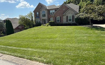 Photo of Michael H.'s yard after getting lawn care in Springdale, AR