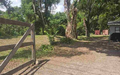 Photo of Seungjae J.'s yard after getting lawn care in Auburn, AL