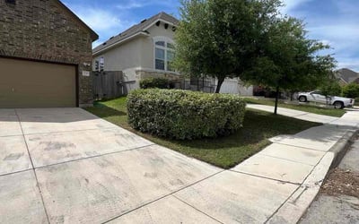 Photo of Dona J.'s yard after getting lawn care in Warren, NJ