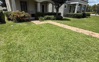 Photo of Troy H.'s yard after getting lawn care in Lancaster, PA