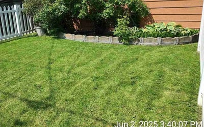 Photo of Kathryn Y.'s yard after getting lawn care in Norfolk, VA
