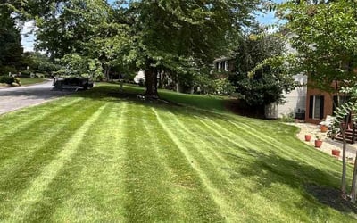 Photo of Sefanie O.'s yard after getting lawn care in Oceanside, NY