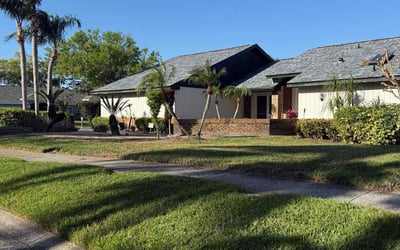 Photo of Shoshoni W.'s yard after getting lawn care in Clearwater, FL