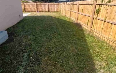 Photo of Kash J.'s yard after getting lawn care in College Park, GA